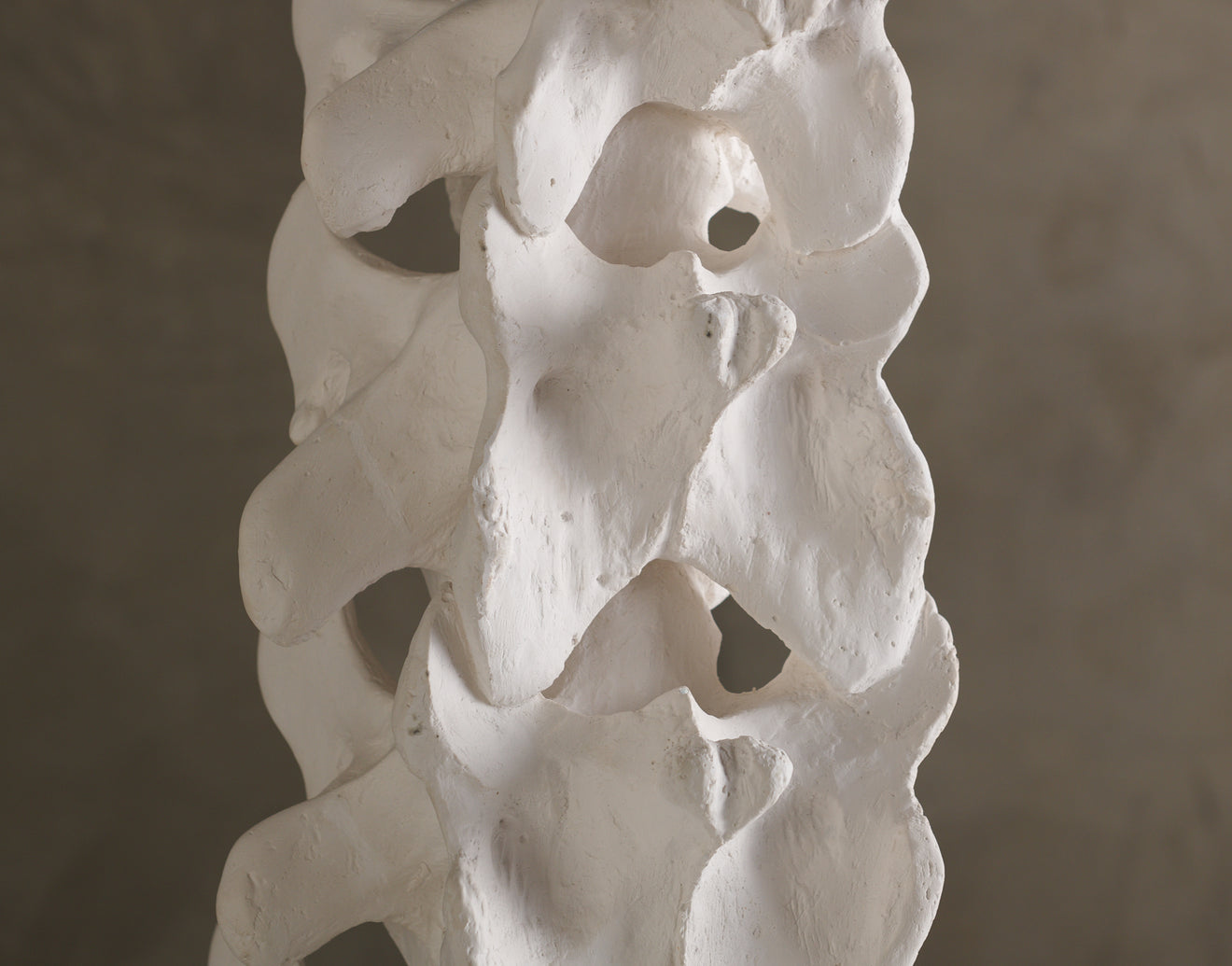 BCW VERTEBRAE TABLE LAMP FROM THE PRIMAL COLLECTION